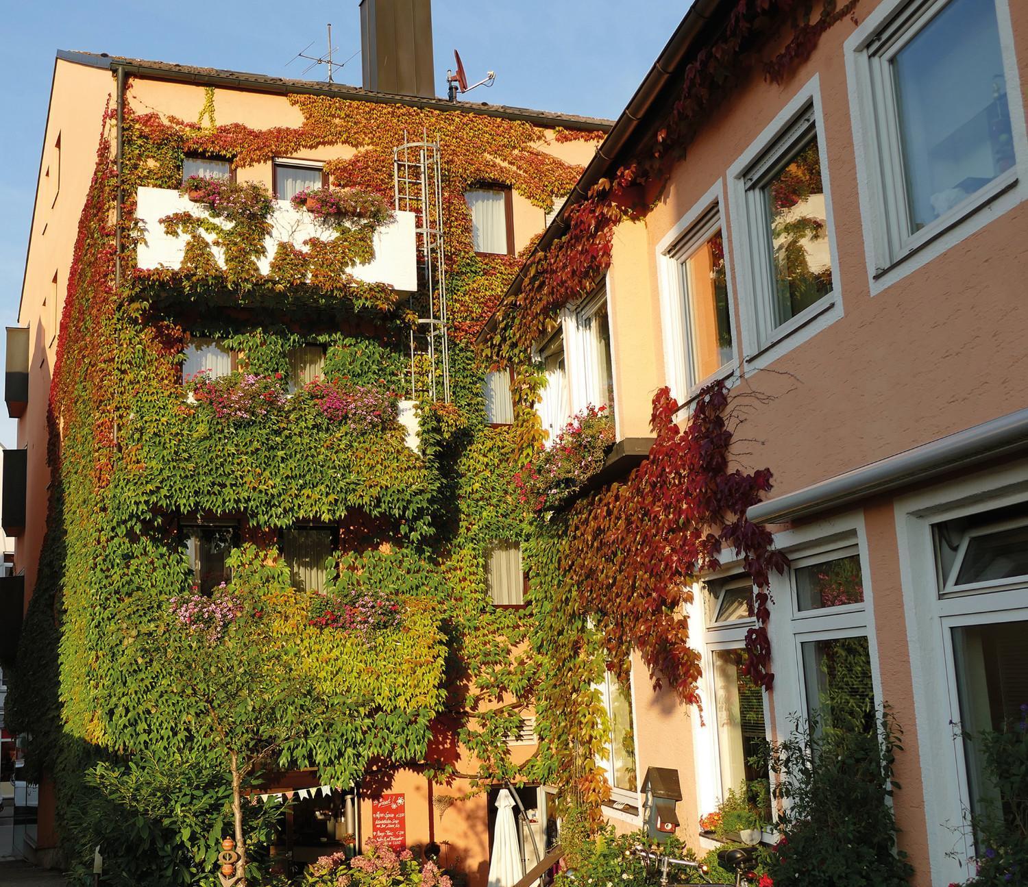 Hasi'S Hotel Grafing エクステリア 写真